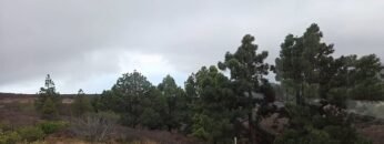 2025-spalio-25-d.-meditacija