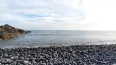 Kovo-11-d.-antradienis