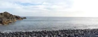 Kovo-11-d.-antradienis